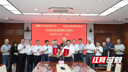 強強聯合，共筑種業(yè)創(chuàng)新高地 隆平高科與農科院作科所簽署戰(zhàn)略合作協議
